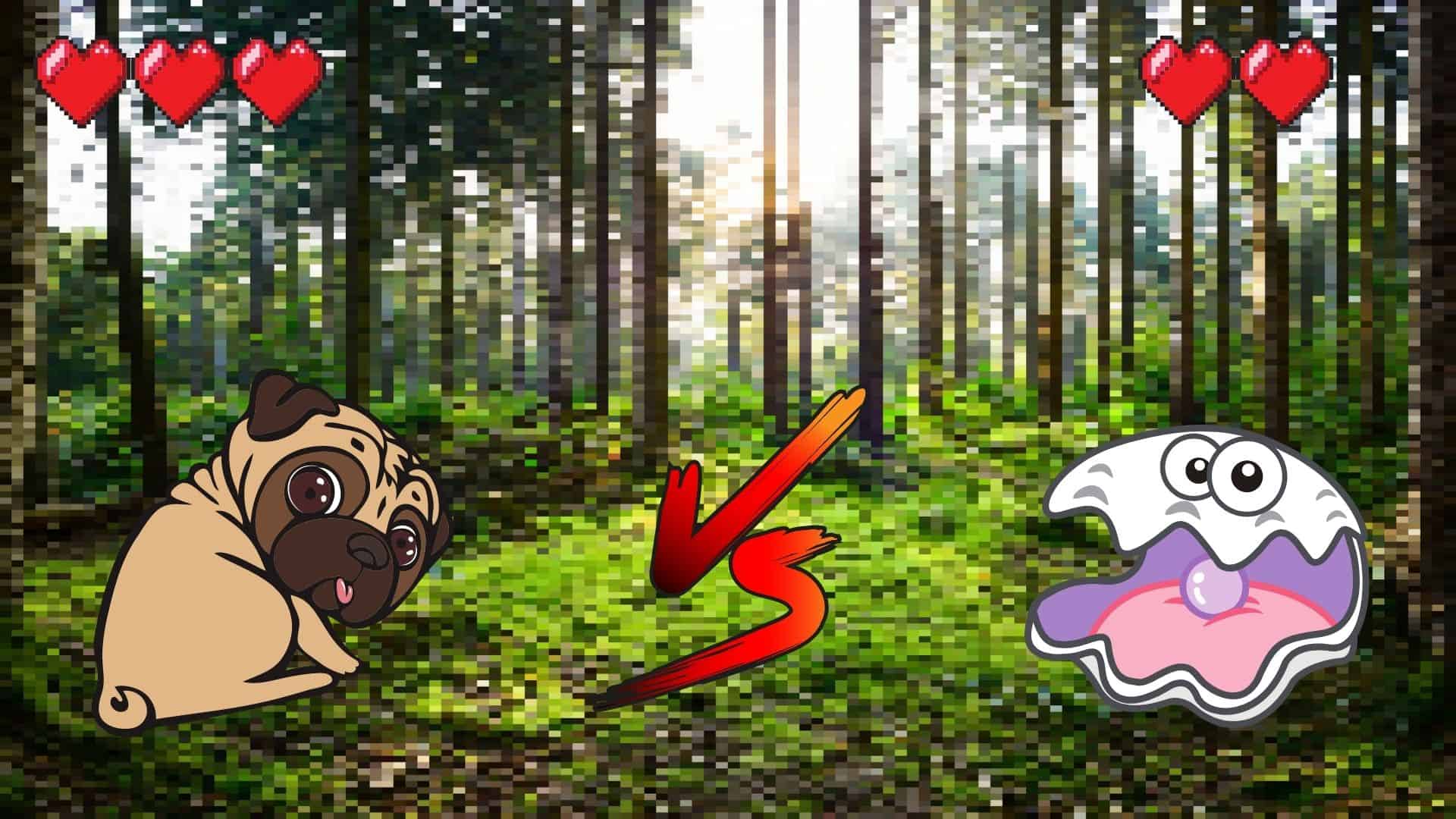 CAN DOGS EAT SCALLOPS? [WATCH OUT FOR ALLERGIES] Safe For Dog