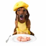 can dogs eat sausage?