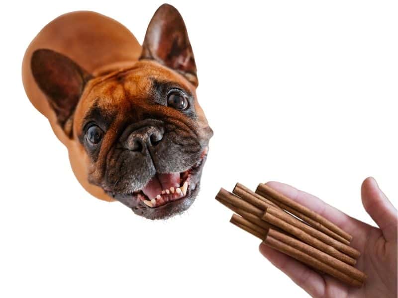 can dogs eat cinnamon?