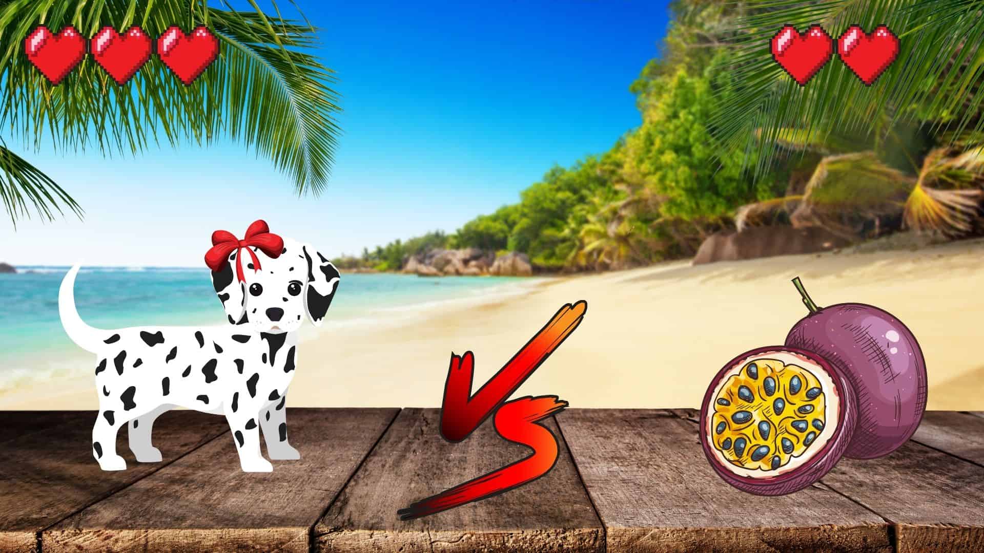 CAN DOGS EAT PASSION FRUIT [NOT RIND OR SEEDS] Safe For Dog