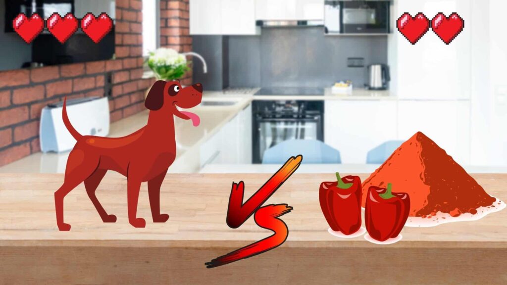 can dogs eat paprika?