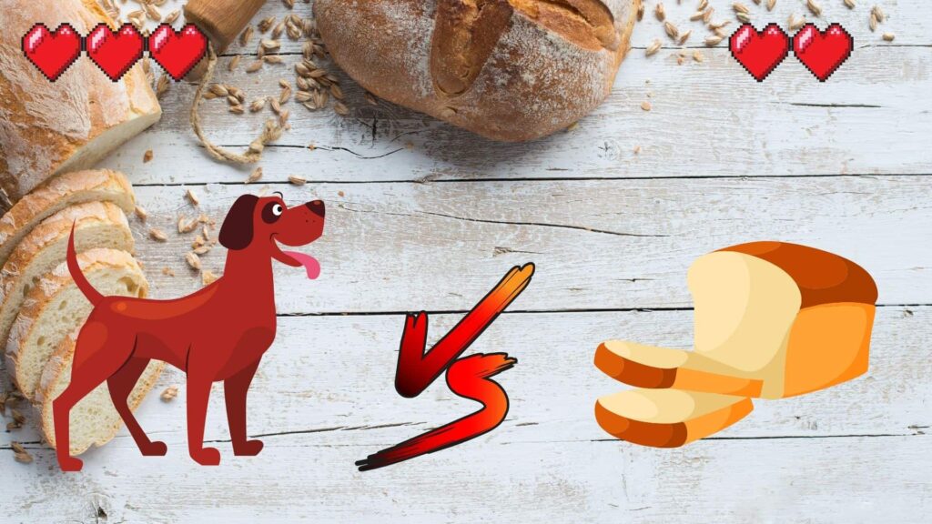 can dogs eat bread?
