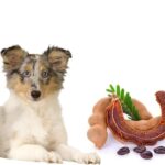 can dogs eat tamarind?