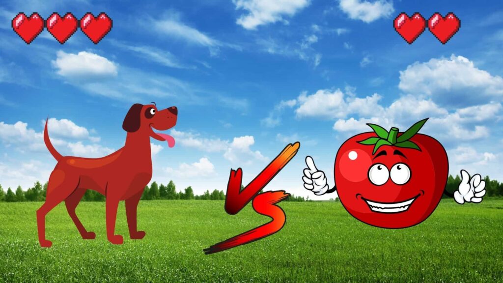 can dogs eat tomatoes?