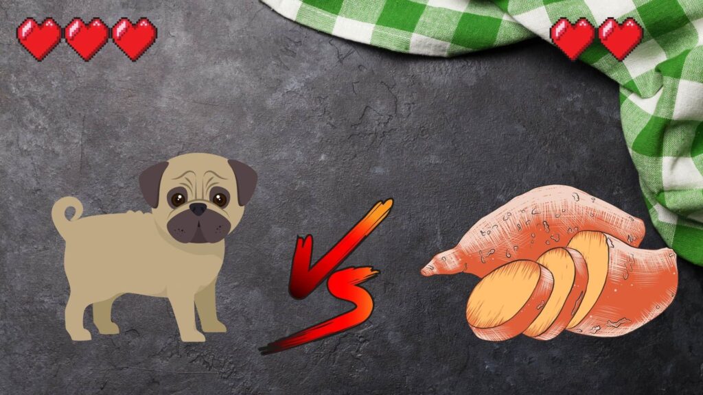 can dogs eat yams?