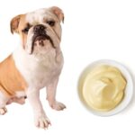 can dogs eat mayonnaise?