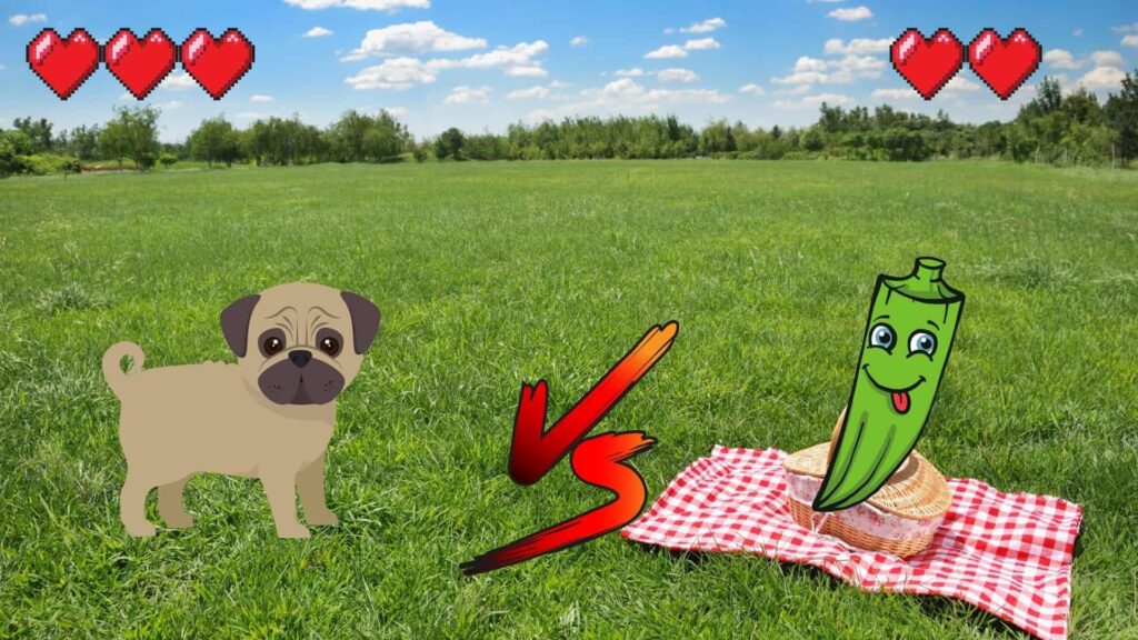 can dogs eat okra?