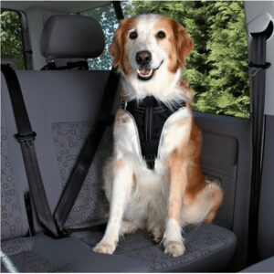 car harness dog
