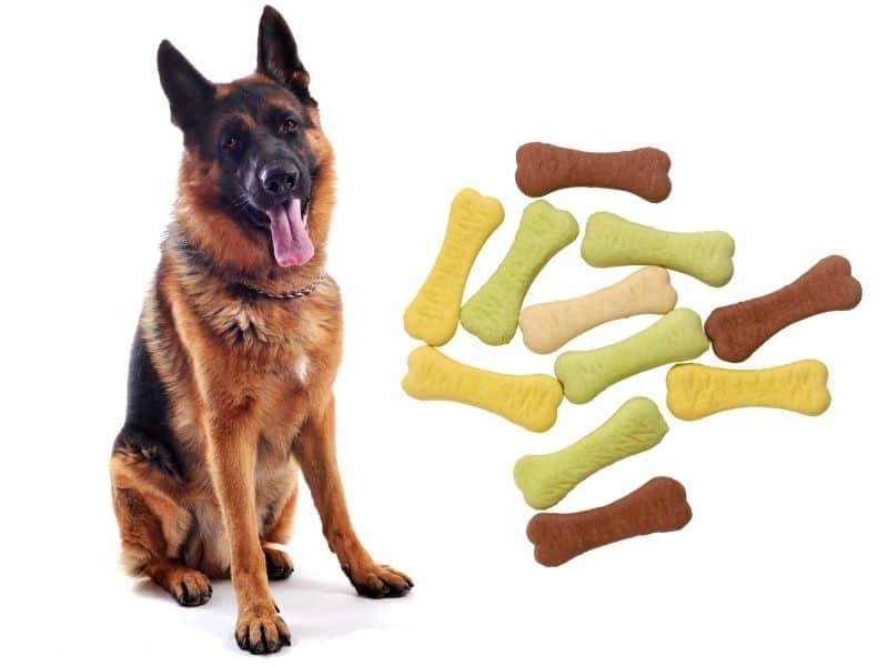 can dogs eat bones?