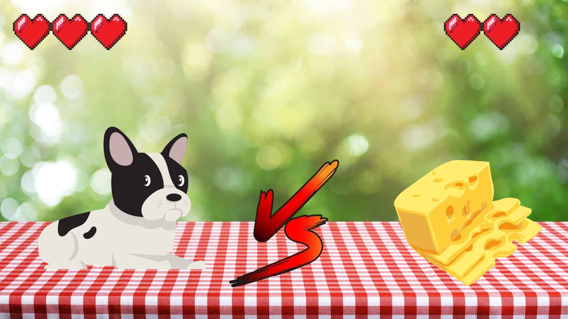 CAN DOGS EAT CHEESE [23 CHEESES RANKED BEST TO WORST ] Safe For Dog