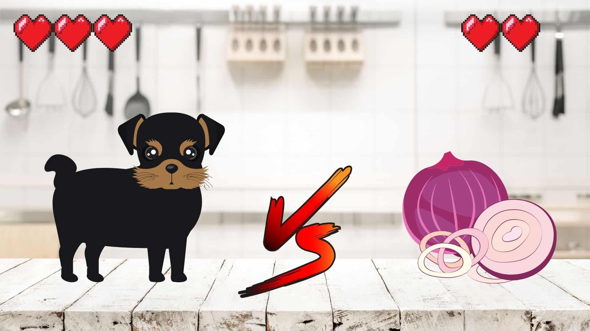 CAN DOGS EAT ONIONS? [NPROPYL DISULFIDE] Safe For Dog