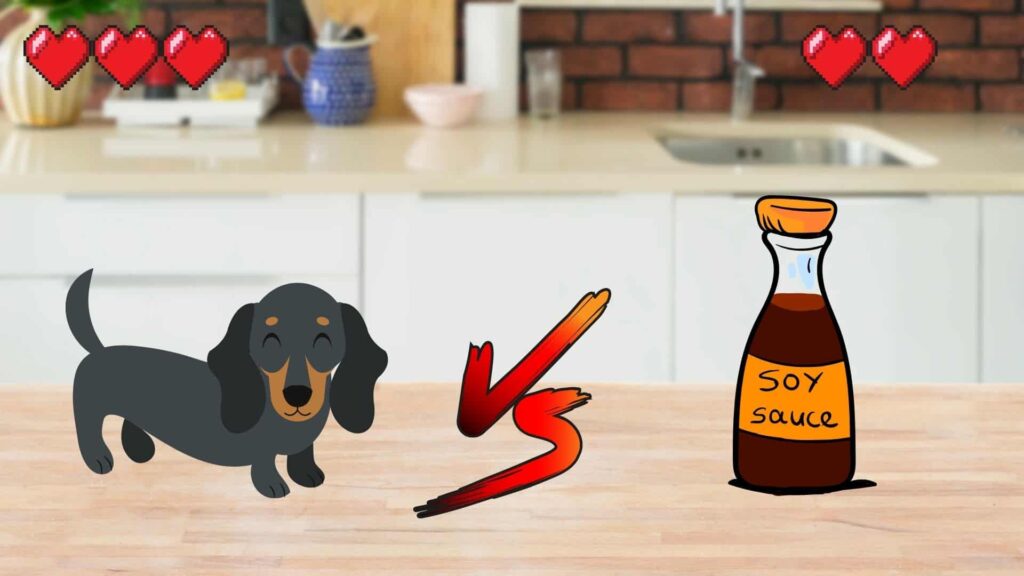 can dogs eat soy sauce?