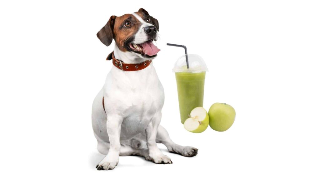 How to make apple-infused dog treats?