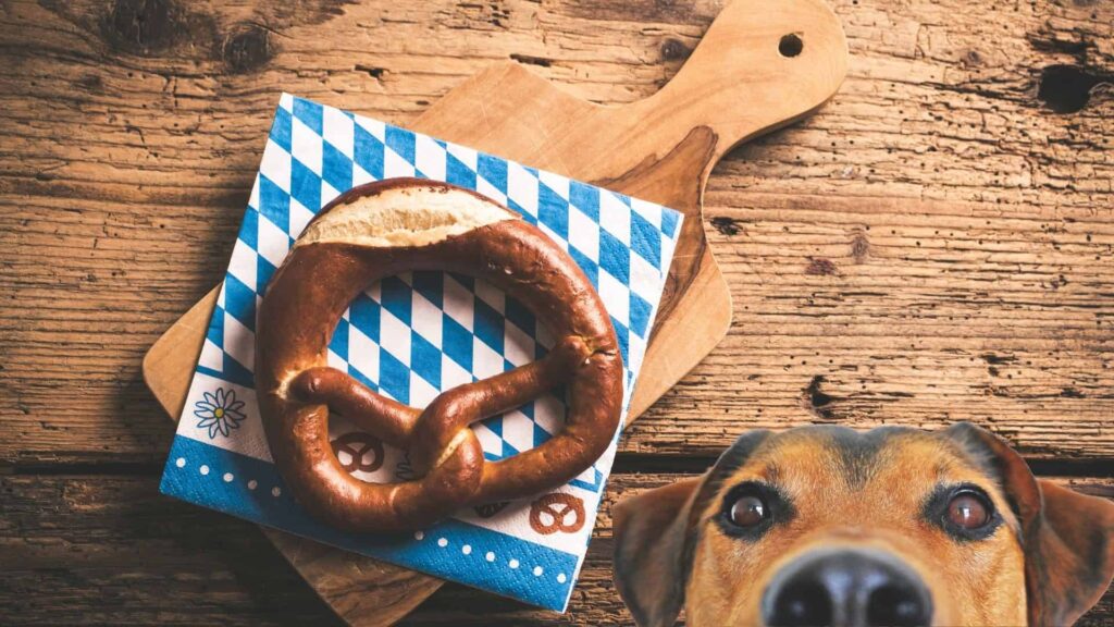 How to make pretzels dog treats?